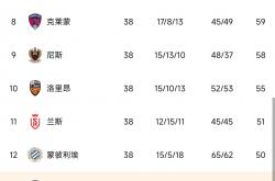 开云体育官方网站-雷恩主场胜利，提升积分榜排名的简单介绍